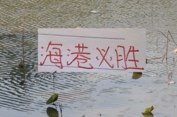 开云体育APP-申花两场热身赛都没有赢 ，还就看新阵容海港能否热身起飞了